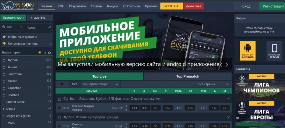 bison отзывы