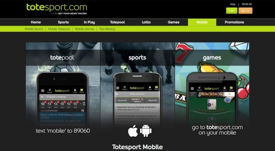 totesport мобильная версия