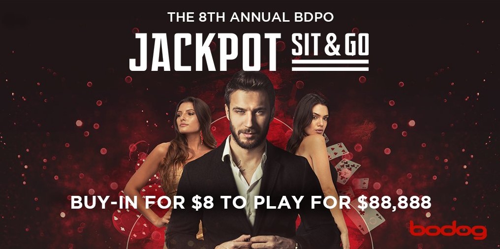 Bodog casino and poker