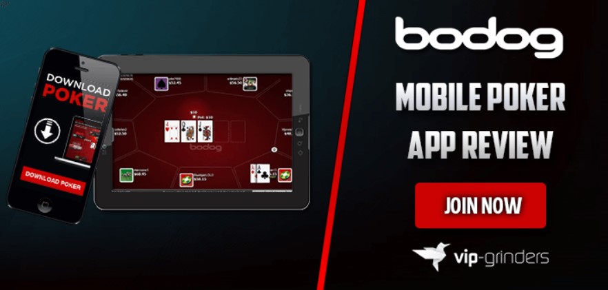 Bodog mobile version